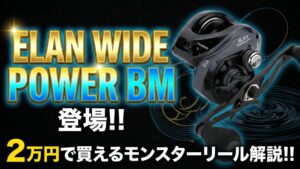 ELAN WIDE POWER BMのサムネイル画像